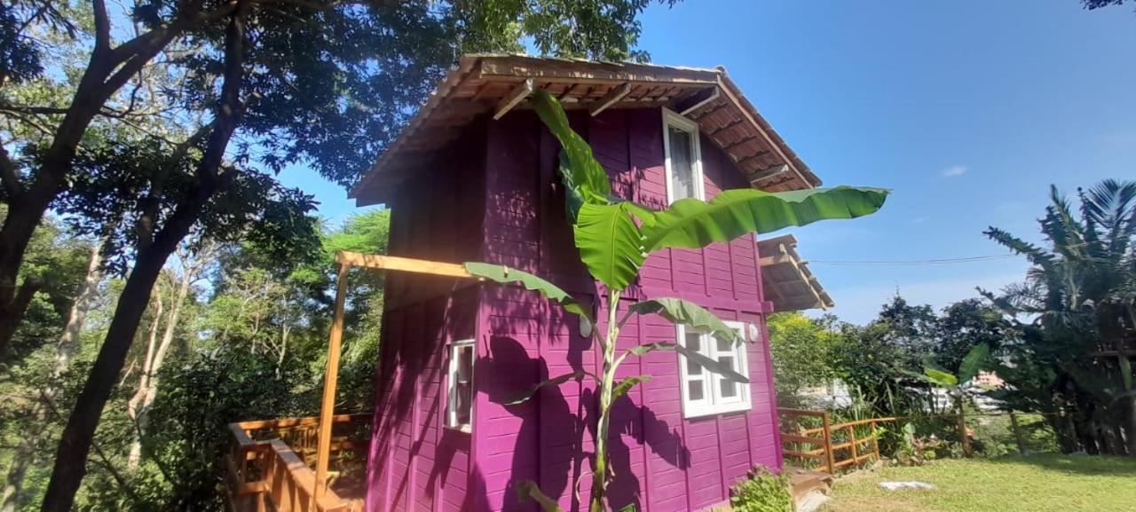 Violeta Aquarela Bombinhas Villa ภายนอก รูปภาพ